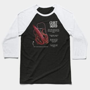 Animal Facts - Giant Squid Baseball T-Shirt